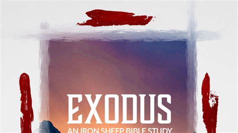 Exodus 8 Bible Study The Plague Of Frogs Gnats And Flies On Egypt