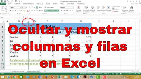 Como Ocultar Y Mostrar Una Columna En Excel