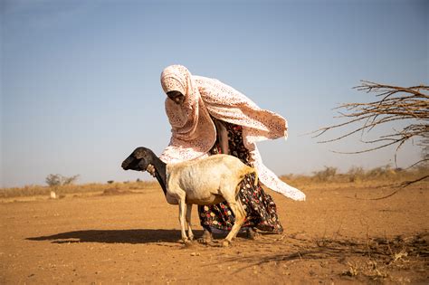 Food Crisis Tightens Its Grip On 19 ‘hunger Hotspots As Famine Looms