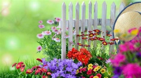 Looking For Ways On How Get Started With Flower Gardening These Tips