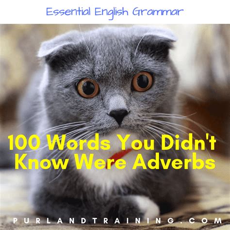 free worksheet 100 words you didnt know were adverbslearn english for cloud hot girl