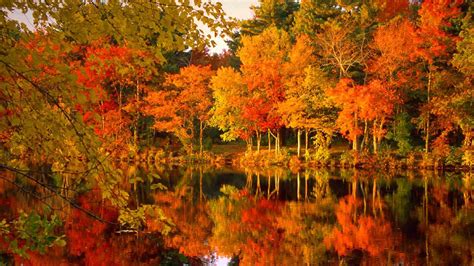 Red Orange Green Yellow Autumn Fall Leafed Trees Forest Reflection On Water Hd Fall Wallpapers