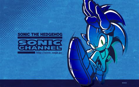 Mes De Junio Sonic The Hedgehog And Aniversario