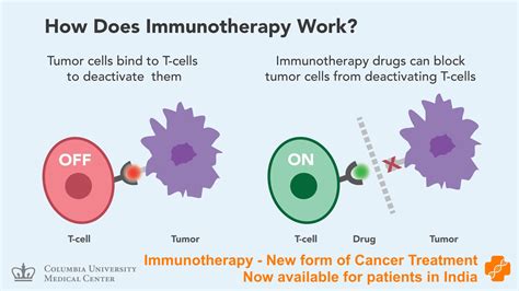 Immunotherapy In India How It Works And Pros And Cons Positive Bioscience