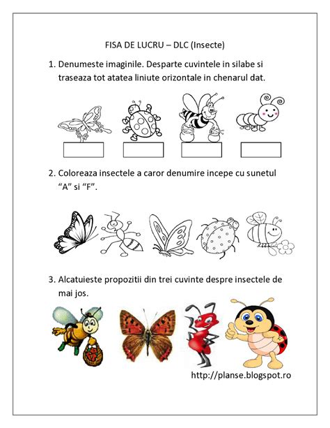 Planse De Colorat Si Fise Pentru Copii Dlc Fise De Lucru Cu Insecte