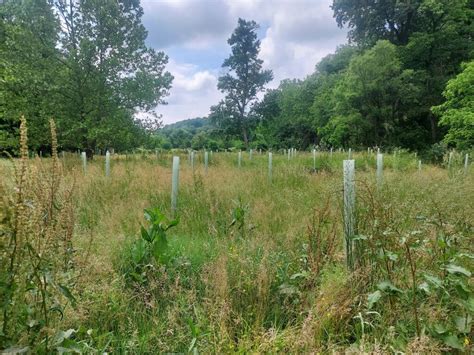 Riparian Rangers Resources Alliance For The Chesapeake Bay