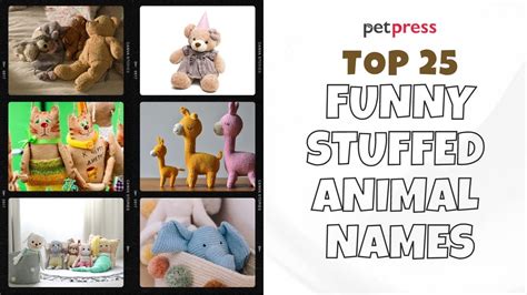 25 Funny Stuffed Animal Names That Are Just Too Cute 🧸 Petpress Youtube