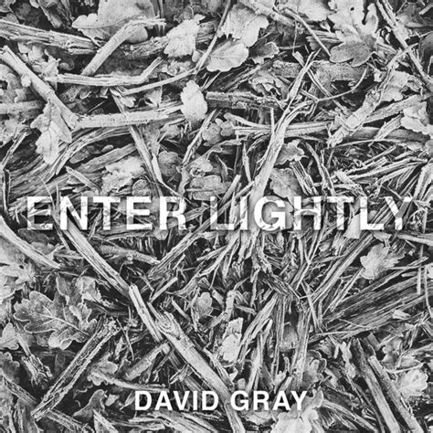 Carátula Frontal De David Gray Enter Lightly Cd Single Portada
