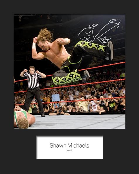 Buy Shawn Michaels Hbk Wwe 2 Signed Ed Photo Reprint 10x8 Size To Fit 10x8 Inch Frames