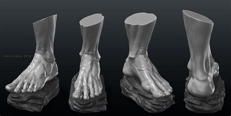 Artstation Foot Anatomy Study John Chen Feet Pinterest Foot