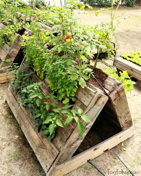 38 Simple And Easy Vegetable Gardening With Pallets Palletsgardening