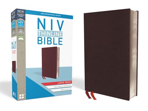 Niv Thinline Bible Large Print Bonded Leather Burgundy Indexed
