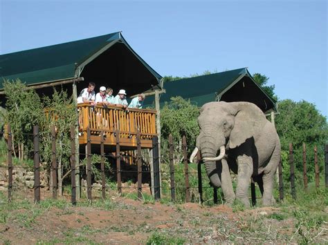 Nachfolgend finden sie informationen zum klima, zur besten reisezeit und zum wetter für das urlaubsziel kos. Nelson Mandela Bay - Addo Elephant National Park2
