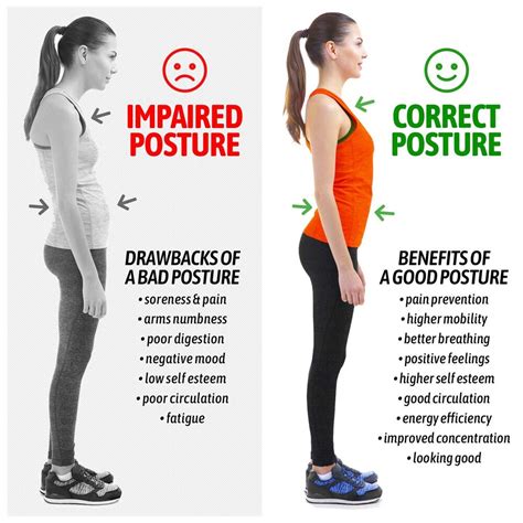 Chiropractic & sports medicine specialists. Chiropractic Care for Posture - Excelsior MN — Excelsior ...