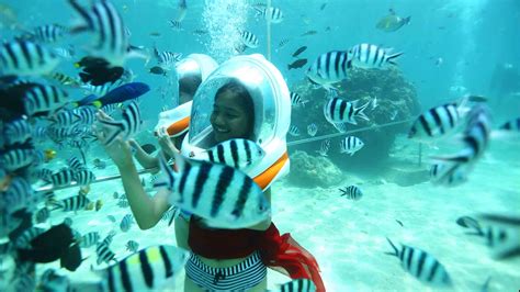The Bali Bible Bali Marine Activities And Tours With Hotel