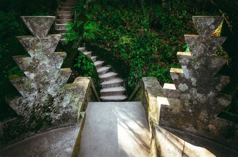 Stone Staircase Across A Forest Path Stock Image Image Of Grass