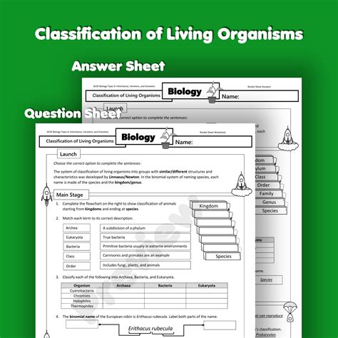 Classification Of Living Organisms Home Learning Worksheet Gcse Uk
