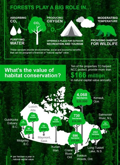 Can We Put A Price On Forest Conservation Td And Nature Conservancy Of