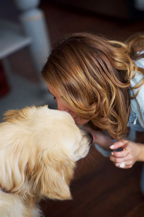 Service dogs are sentient beings and will have days when they are not as helpful, misbehave, fall sick suddenly, and other concerns that you will have to deal with and find ways to overcome. 10 Reasons Why Having a Dog is the Best - Lexi's Clean Kitchen