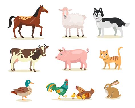Conjunto De Ilustraciones Planas De Diferentes Animales De Granja Lindo
