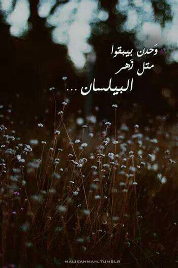 pin by kholoud mahmoud on فيرووووز funny arabic quotes arabic quotes song playlist