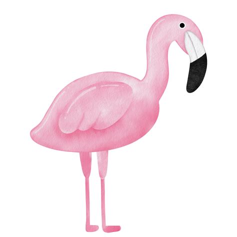 Watercolor Pink Flamingo Clipart 22495599 Png
