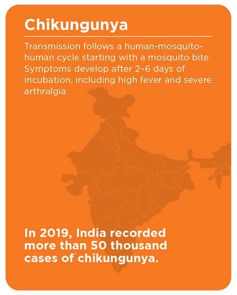 02 Chikungunya Infographic 1 Mylab Global