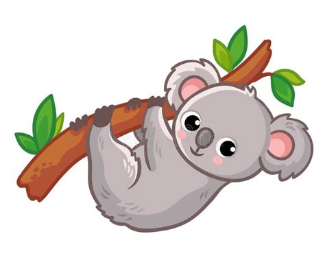 Koala Hangs On A Tree On A White Background Cute Australian Animal In