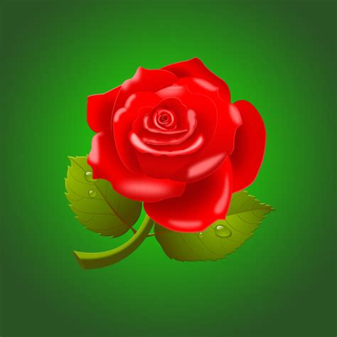 Beautiful Red Rose Psd Material Free Download