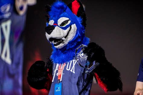 Sonicfox The Gay Furry Esports Player Of Lets His Swagger