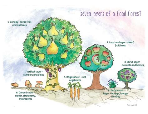 Cowichan Green Community Food Forest All Points Land Design