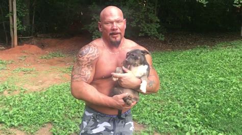 Tusindvis af nye billeder af høj kvalitet tilføjes hver dag. Tri color moneyline American Bully pocket put female puppy ...