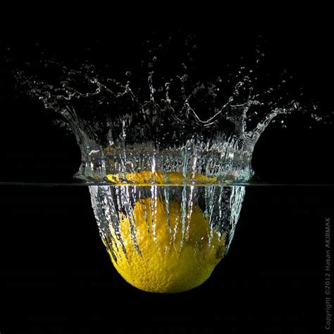 The Lemon King By Akirmak On Deviantart Photography Deviantart Lemon