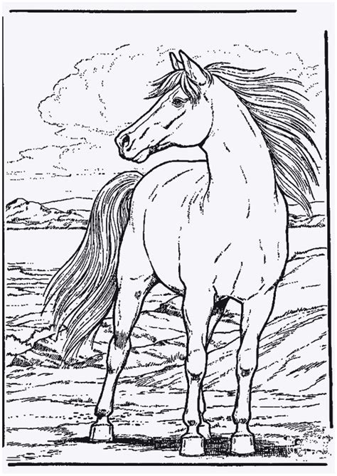 Href= ausmalbilder pferde mit fohlen malvorlagen pferde schön. Ausmalbilder Pferde Spirit - Kostenlose Stundenpläne zum ...