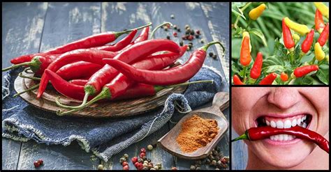 Live Longer With Chili Peppers Dr Farrah Md
