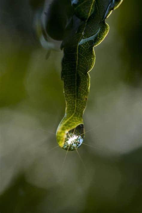 Beautiful Water Drop Reflection Photography