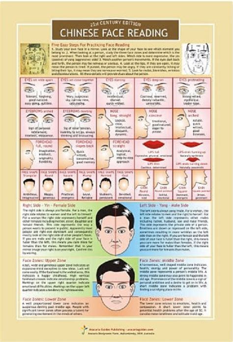 Physiognomy Chinese Face Reading Chart Chinese Face Map Chinese Face