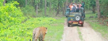 Tiger Tours In India Tiger Safari In India Tiger Tour Of India