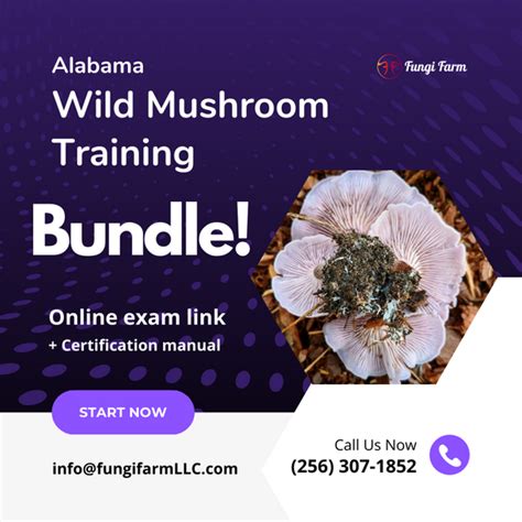 Wild Mushroom Training Fungi Farm