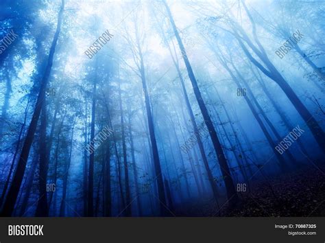 Blue Twilight Mood Image And Photo Free Trial Bigstock