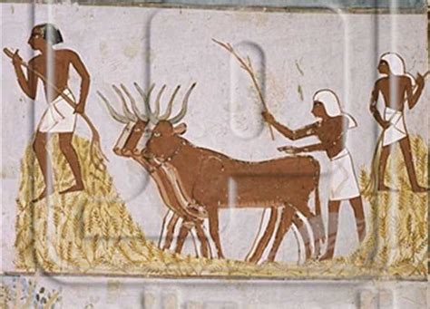 مصر الفرعونية وجوه الحضارة على ضفاف النيل في 3500 عام المصري اليوم