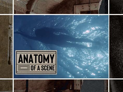 Anatomy Of A Scene The Iconic Opening Of Jaws