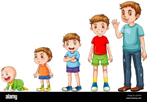 Stages Of Human Growth Illustration Stock Vector Image And Art Alamy
