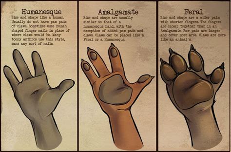 Anthro Hands By Coffinberry On Deviantart Furry Art Hand Drawing Reference Anthro