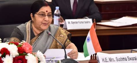 India Wonâ€™t Participate In Saarc Talks Only If Pakistan Stops Terror