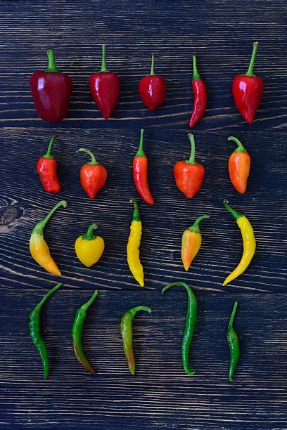 Royalty Free Yellow Chili Pepper Pictures Images And Stock Photos Istock