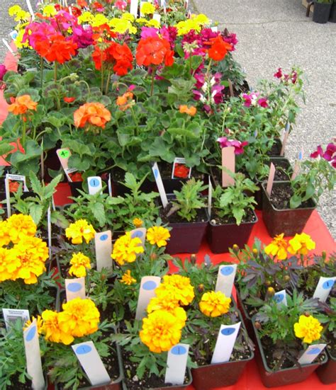 We did not find results for: Broadview Garden Club Plant Sale