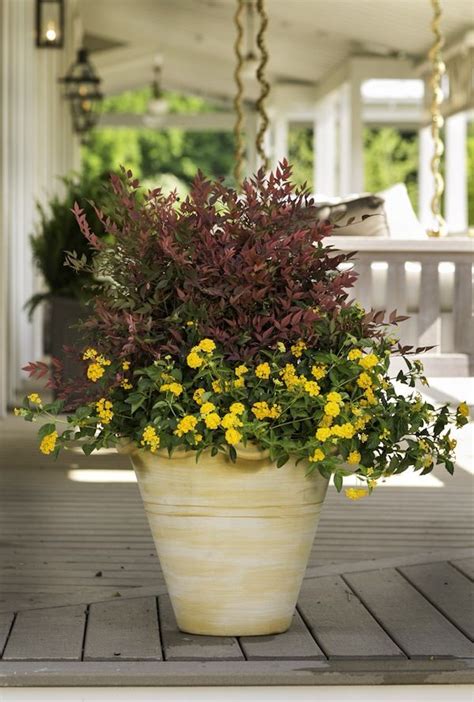 A Fall Face Lift Southern Living Plants Fall Container Gardens Plants Low Water Plants