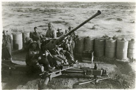 British Gun Crew With 40 Mm Bofors Antiaircraft Gun Egypt 1942 43