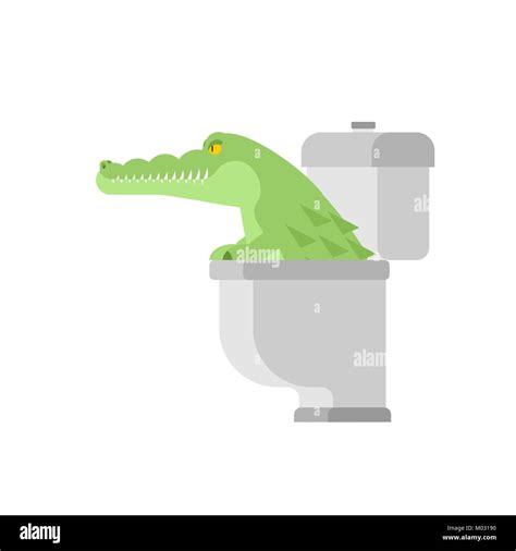 In Jaws Of Alligator Cut Out Stock Images And Pictures Alamy